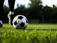 赵丽颖冯绍,峰难得同框,短暂聚餐后,立博体育官网,立博体育直播,体育赛事直播,足球直播